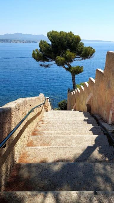 סנרי-סור-מר Front De Mer - Emplacement Prise Au Calme - T2 Moderne Et Entierement Climatise - Tout A Pieds מראה חיצוני תמונה